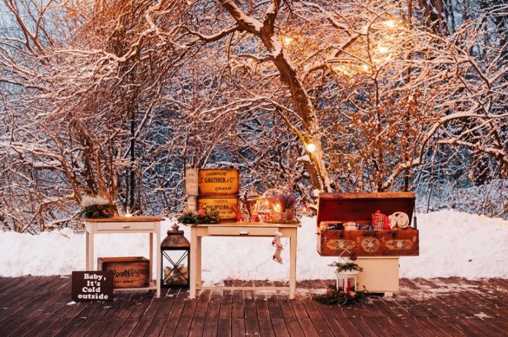 Nunta iarna in padure - SnowWhite by TreeHouse